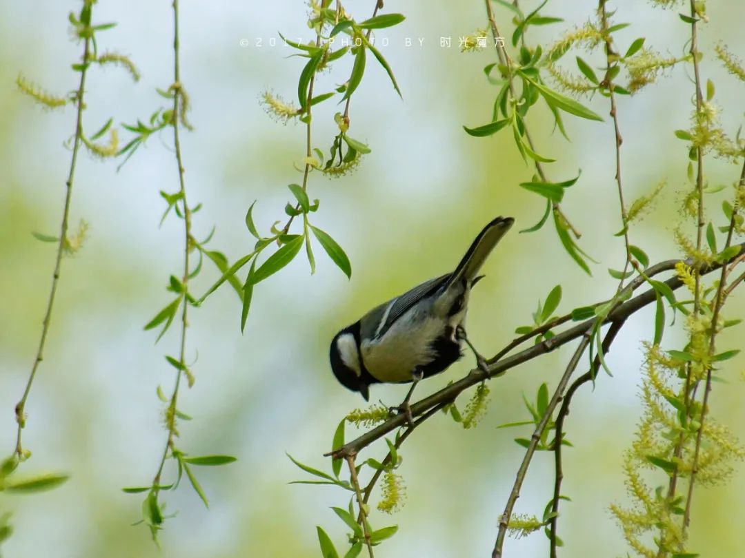技工等級考試正在進(jìn)行中