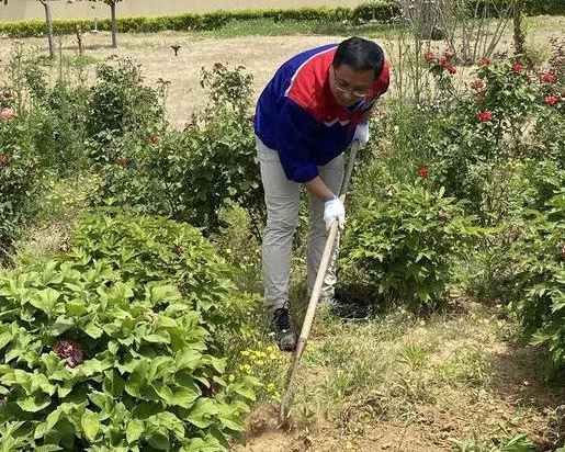 青島銳智黨支部開展“清除雜草 美化環(huán)境”主題黨日活動